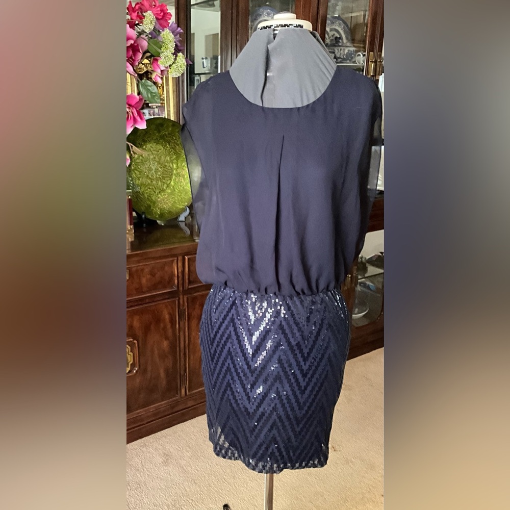 Navy Sequin Chevron Dress